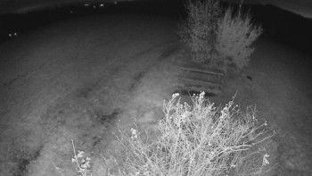 Snímek    26.10.2025 v 19:00