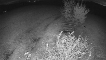 Snímek    26.10.2025 v 20:00