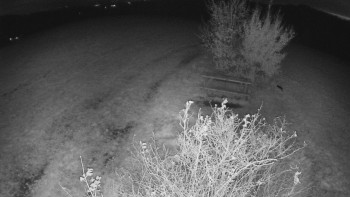 Snímek    27.10.2025 v 02:30