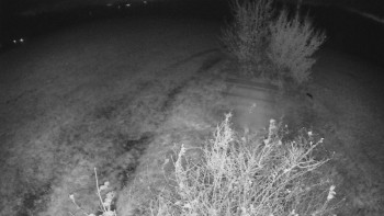 Snímek    27.10.2025 v 20:00