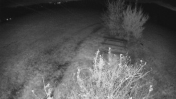 Snímek    27.10.2025 v 21:00