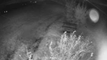 Snímek    27.10.2025 v 22:30
