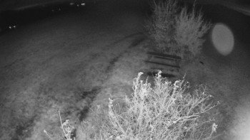 Snímek    27.10.2025 v 23:00