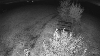 Snímek    28.10.2025 v 01:00