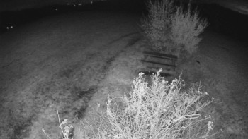 Snímek    28.10.2025 v 01:30