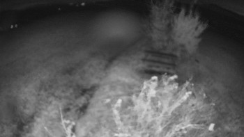 Snímek    28.10.2025 v 05:00
