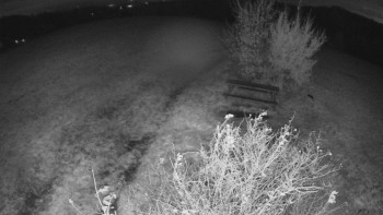 Snímek    28.10.2025 v 05:30