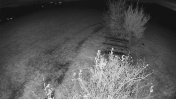 Snímek    28.10.2025 v 21:00