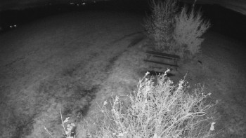 Snímek    28.10.2025 v 22:00