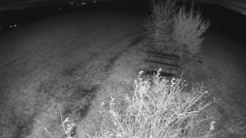 Snímek    28.10.2025 v 22:30