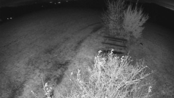 Snímek    28.10.2025 v 23:30