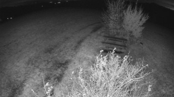 Snímek    29.10.2025 v 00:00