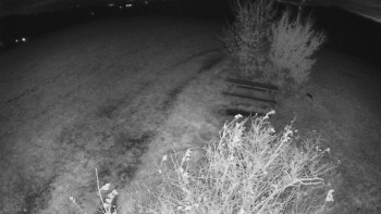 Snímek    29.10.2025 v 00:30