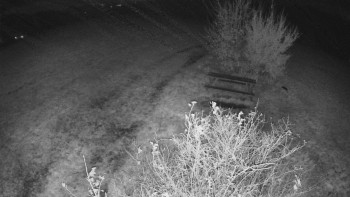 Snímek    29.10.2025 v 03:00