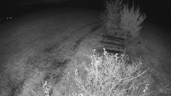 Snímek    29.10.2025 v 04:30