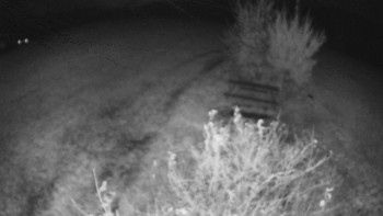 Snímek    29.10.2025 v 05:00