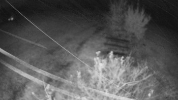 Snímek    29.10.2025 v 05:30