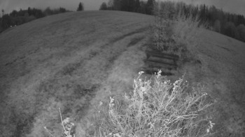 Snímek    29.10.2025 v 06:00