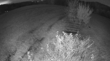 Snímek    29.10.2025 v 17:30