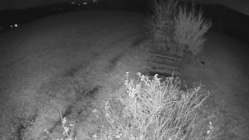 Snímek    29.10.2025 v 20:00