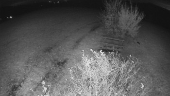 Snímek    30.10.2025 v 00:00