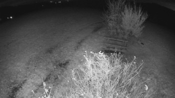 Snímek    30.10.2025 v 02:00