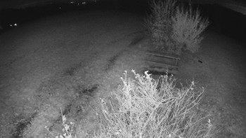 Snímek    30.10.2025 v 02:30