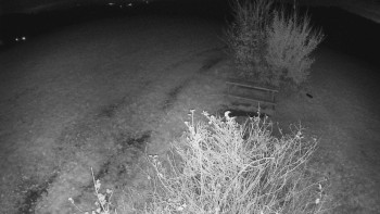 Snímek    30.10.2025 v 03:00