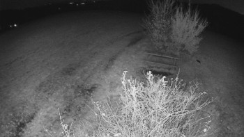 Snímek    31.10.2025 v 00:30