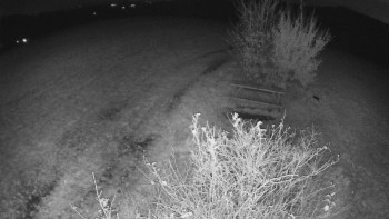 Snímek    31.10.2025 v 03:00