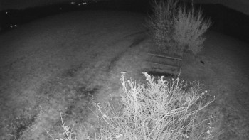 Snímek    1.11.2025 v 00:00