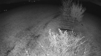 Snímek    1.11.2025 v 02:30