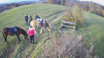 Snímek    1.11.2025 v 15:00