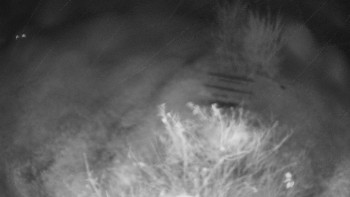 Snímek    2.11.2025 v 23:30