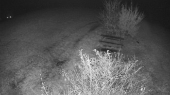 Snímek    3.11.2025 v 00:30