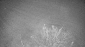 Snímek    3.11.2025 v 02:30