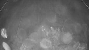 Snímek    3.11.2025 v 03:00