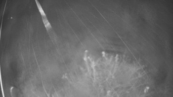 Snímek    3.11.2025 v 03:30