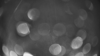 Snímek    3.11.2025 v 05:00