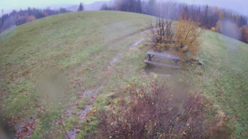 Snímek    3.11.2025 v 16:30