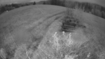 Snímek    3.11.2025 v 17:00