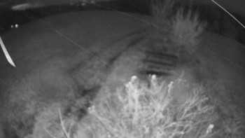 Snímek    3.11.2025 v 17:30