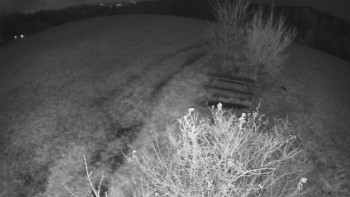 Snímek    3.11.2025 v 18:30