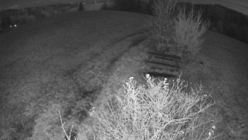 Snímek    3.11.2025 v 20:30