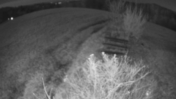 Snímek    4.11.2025 v 02:30