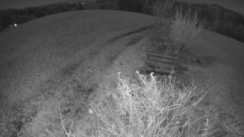 Snímek 6.11.2025 v 03:00