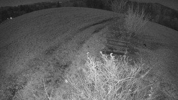 Snímek 6.11.2025 v 03:30