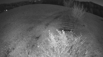 Snímek 6.11.2025 v 18:30