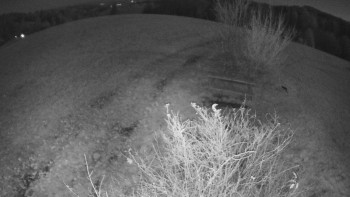 Snímek 6.11.2025 v 19:30