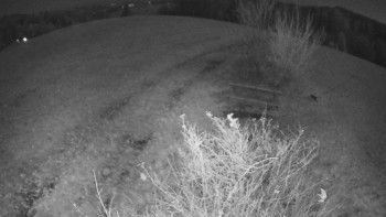 Snímek 6.11.2025 v 21:00